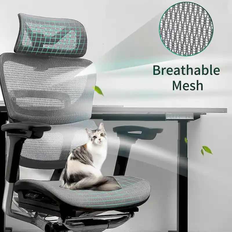Chaise de bureau à dossier haut, chaise de bureau à domicile, chaise d'ordinateur sans repose-pieds
