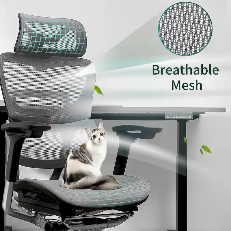 Chaise de bureau à dossier haut, chaise de bureau à domicile, chaise d'ordinateur sans repose-pieds