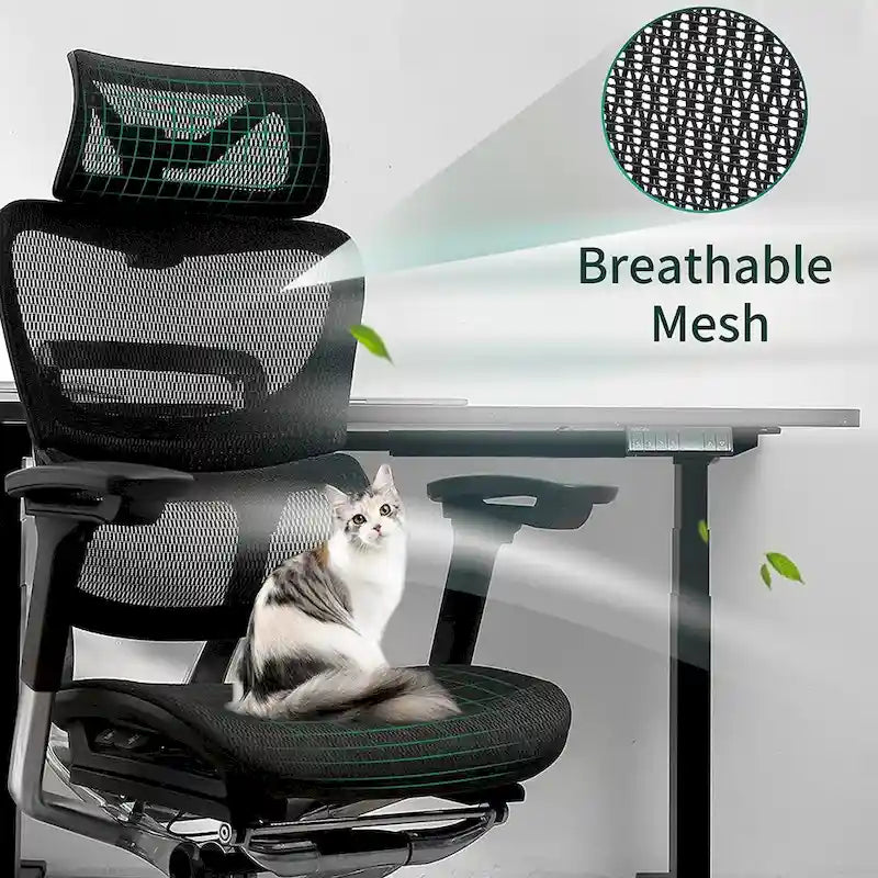 Chaise de bureau à dossier haut, chaise de bureau à domicile, chaise d'ordinateur sans repose-pieds
